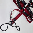 Mascara Bondage Capuz de Cachorro K9