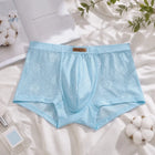 Cueca Masculina Renda Seda Gelo Transparente